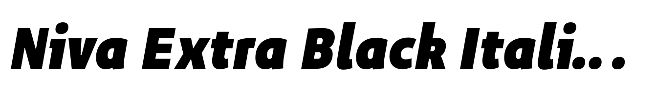 Niva Extra Black Italic Condensed